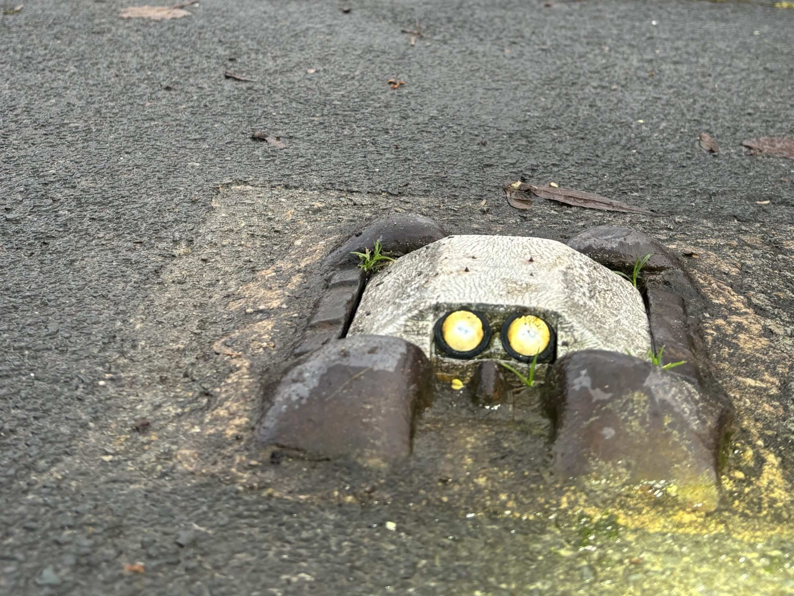 Properties in Newcastle